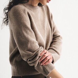NWOT Abercrombie & Fitch Madeline Crew Sweater in Light Brown